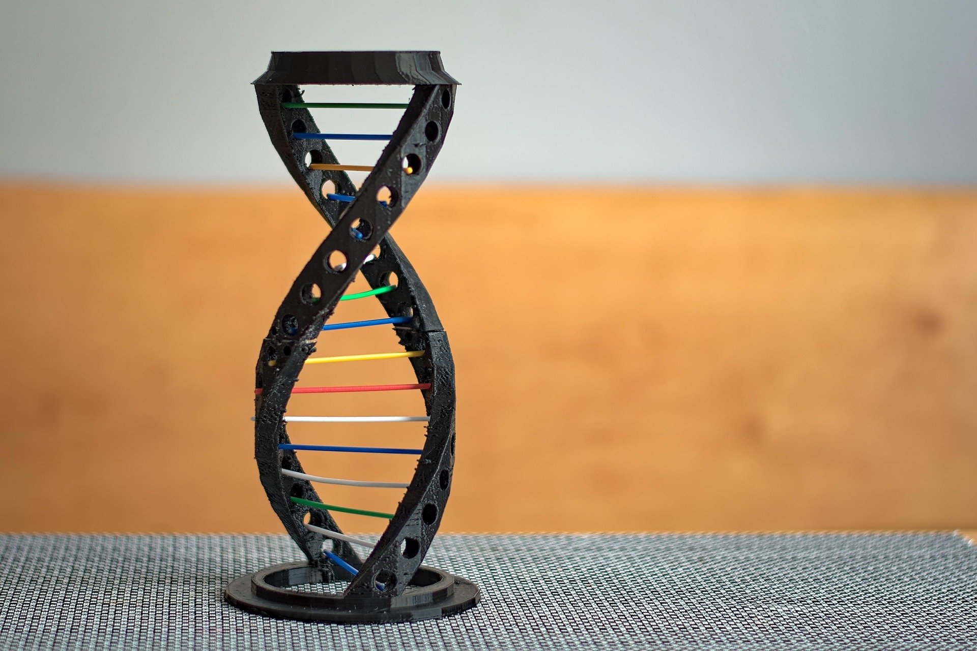 DNA Strand model standing on a floor rug