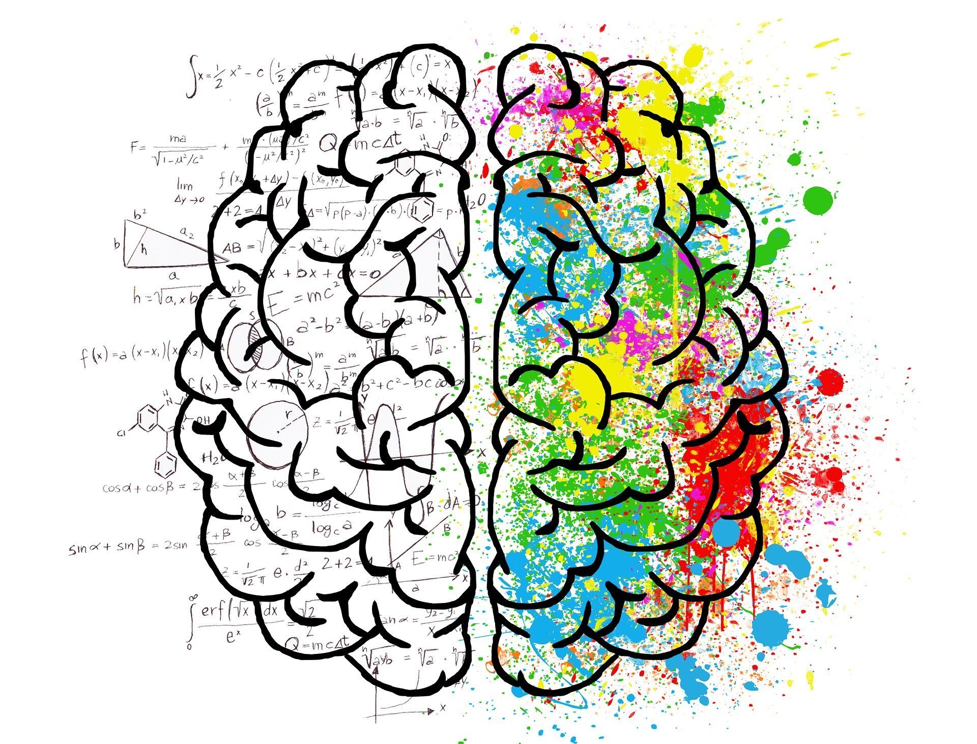A drawing of a brain divided into logical and creative halves.