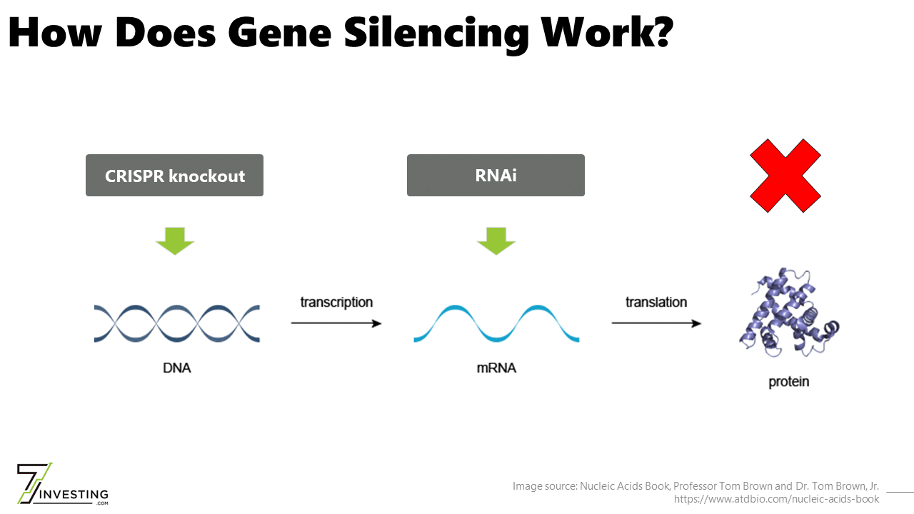 A depiction of the Central Dogma of Biology and where CRISPR knockouts and RNAi fit in.
